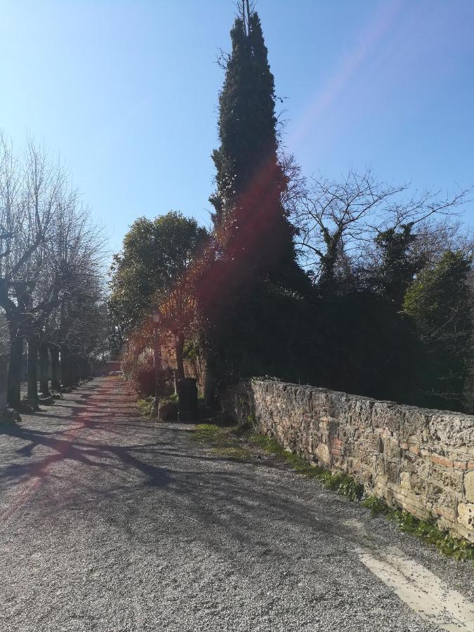 Appartamento La Terrazza Chiusi Esterno foto